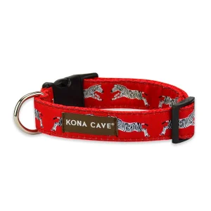 Adjustable Collar with Urban Zebra