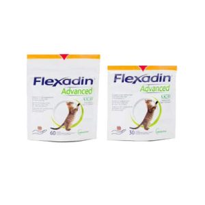 Flexadin – Advanced Katze