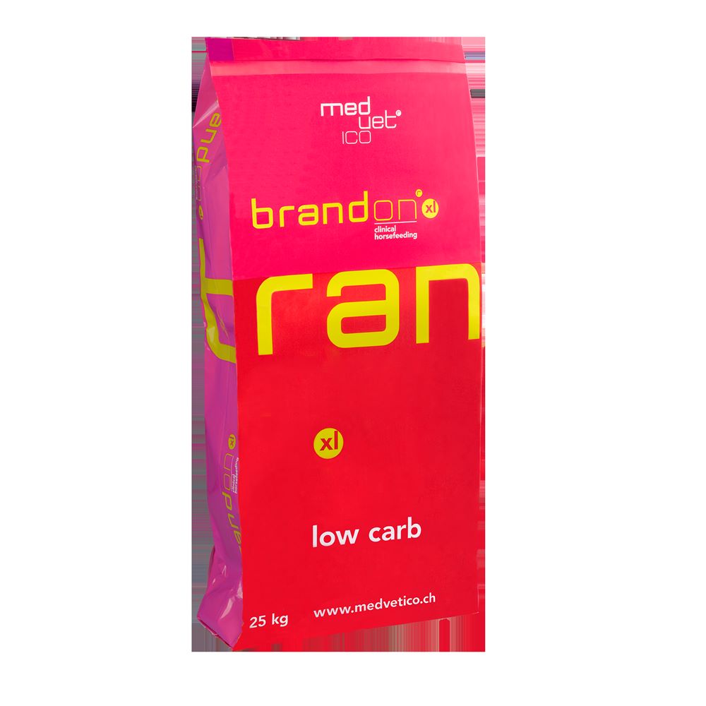 Brandon XL